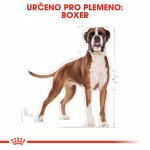 Royal Canin Boxer Adult 3 kg – Hledejceny.cz