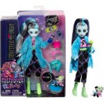 Mattel Monster High Creepover Party Frankie Stein Doll – Zboží Mobilmania