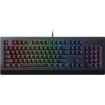 Razer Cynosa V2 RZ03-03400100-R3M1 – Hledejceny.cz