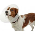 Kruuse Buster Classic Collar Plastový ochranný límec 40 cm – Hledejceny.cz