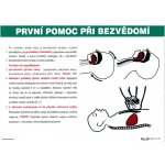 První pomoc při bezvědomí 420x297mm - plastová tabulka – Hledejceny.cz