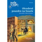 Ukradené pouzdro na housle – Hledejceny.cz