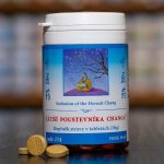 TCM Herbs Zátiší poustevníka Changa 100 tablet – Hledejceny.cz