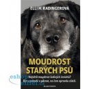 Moudrost starých psů