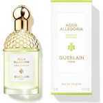 Guerlain Aqua Allegoria Nerolia Vetiver toaletní voda dámská 75 ml – Hledejceny.cz