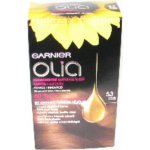 Garnier Olia 5.3 zlatá hnědá barva na vlasy – Zbozi.Blesk.cz