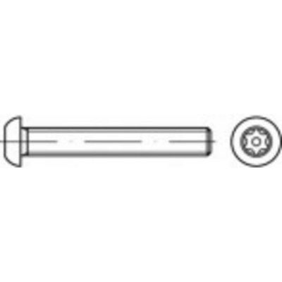 TOOLCRAFT TO-5380206 bezpečnostní šrouby M5 40 mm vnitřní korunka šestihranná 88116 nerezová ocel A2 100 ks – Hledejceny.cz
