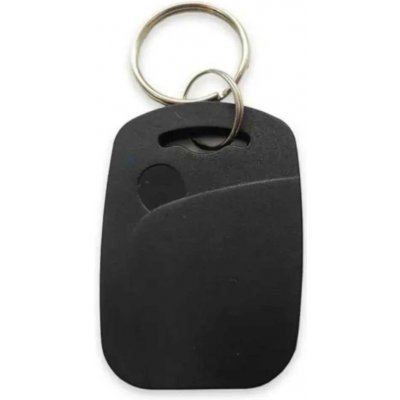 Přívěsek na klíče STAR Přístupový čip DUAL Mifare 1K + LF 125KHz modrá – Zboží Dáma