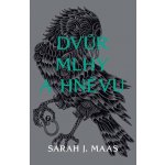 Dvůr mlhy a hněvu – Hledejceny.cz