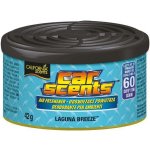 California Scents vůně do auta Laguna Breeze - moře BTR938703-00 – Hledejceny.cz