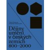 Kniha Dějiny umění v českých zemích 800–2000 | Taťána Petrasová, Rostislav Švácha