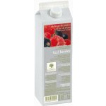 RaviFruit Red Berry pyré z červeného ovoce 1 kg – Hledejceny.cz