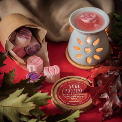 Candy Soap Vůně podzimu vosk do aromalampy 120 g – Zboží Dáma