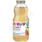 Hipp BIO Nápoj Hruška s neperlivou pramenitou vodou 500 ml – Hledejceny.cz