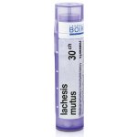 LACHESIS MUTUS POR 30CH GRA 4G – Hledejceny.cz