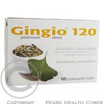 GINGIO POR 120MG TBL FLM 60 – Sleviste.cz