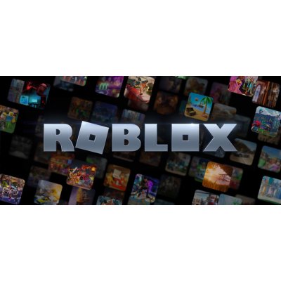 Roblox herní měna 5250 Robux – Zboží Dáma