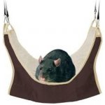 Trixie Lehátko pro potkana a fretky 30 x 30 cm – Sleviste.cz