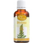 Serafin Divizna tinktura z pupenů 50 ml – Hledejceny.cz