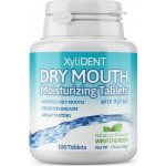 XyliDENT zvlhčující pastilky wintergreen 100 ks – Sleviste.cz