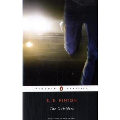 The Outsiders - S. Hinton