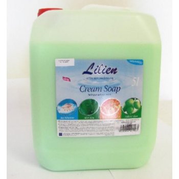 Lilien Aloe Vera tekuté mýdlo náhradní náplň 5 l