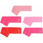 TrainMax Sada posilovacích gum 5 ks – Zbozi.Blesk.cz