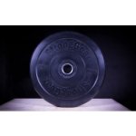 StrongGear bumper kotouče 5 kg – Zbozi.Blesk.cz