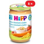 HiPP BIO Zelenina s těstovinami a šunkou 6 x 220 g – Zboží Dáma