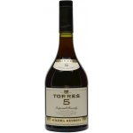 Torres Brandy 5yo 40% 0,7 l (holá láhev) – Zboží Mobilmania