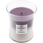 WoodWick Trilogy Amethyst Sky 275 g – Zboží Mobilmania