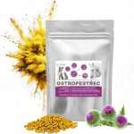 Dromy Ostropestřec & Kurkuma 3 kg – Zboží Dáma