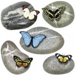 AG Design SS 3853 samolepicí dekorace - samolepka na zeď Motýli, velikost 30 x 30 cm – Zboží Dáma