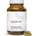 Berbersome od MOLEQLAR 60 kapslí – Hledejceny.cz