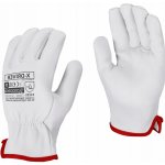 Procera X-DRIVER – HobbyKompas.cz