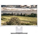 Dell P2317HWh