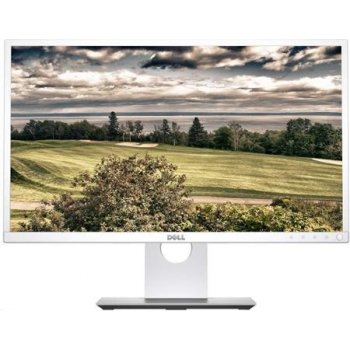 Dell P2317HWh