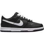 Nike Dunk Low Black White GS DH9765-002 – Hledejceny.cz