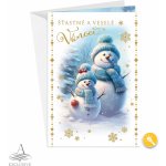 ARGUS Vánoční přání s vlastní nahrávkou 71-7004c – Hledejceny.cz