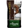Krmivo a vitamíny pro koně ST HIPPOLYT WES Gastro Beet Šetrný mash pro sportovní a rekreační koně 15 kg