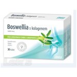 Favea Boswellia s chondroitinem a kolagenem 30 tablet – Sleviste.cz