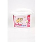 Gelapony Biotin H 0,6 kg – Hledejceny.cz