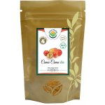 Salvia Paradise BIO Camu camu prášek 50 g – Hledejceny.cz