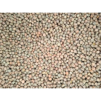 Fauna Hradil Peluška jarní krmná 20 kg – Zboží Dáma