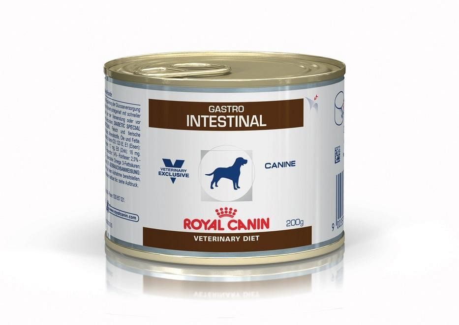Royal Canin Veterinary Diet Adult Dog Gastrointestinal 200 g