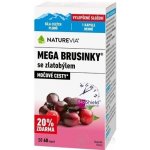 Swiss NatureVia Mega brusinky 60 kapslí – Zboží Mobilmania