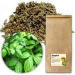Bylík Jiaogulan nať 200 g – Sleviste.cz