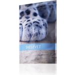 Energy Skelevet 135 tbl – Zbozi.Blesk.cz