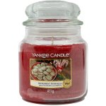 Yankee Candle Peppermint Pinwheels 411 g – Zbozi.Blesk.cz