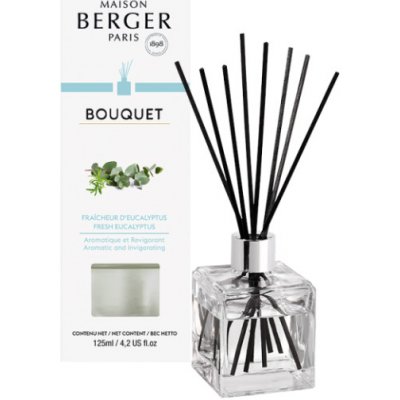 Maison Berger Paris aroma difuzér Cube Čerstvý eukalyptus 125 ml – Hledejceny.cz